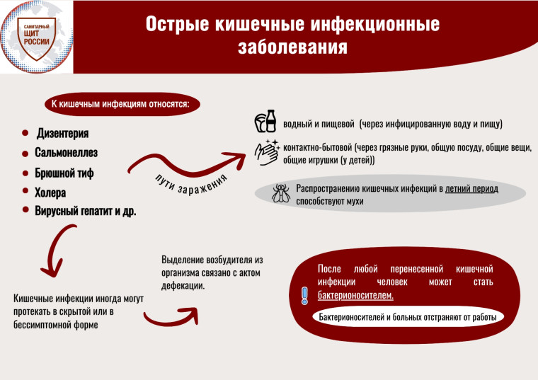 Обучающие материалы для повышения гигиенической грамотности.