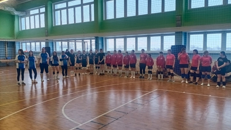 Волейбольный турнир, посвященный памяти М.М.Рудченко.