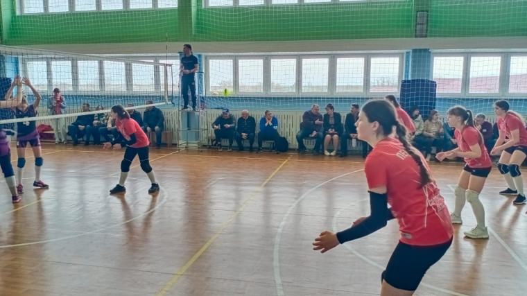 Межрегиональный турнир по волейболу среди девушек.